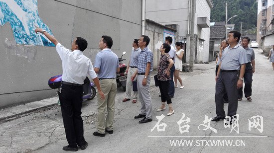 查看卫生整治
