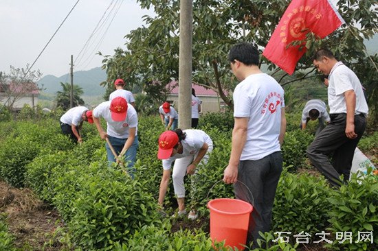图为志愿者帮助除草施肥