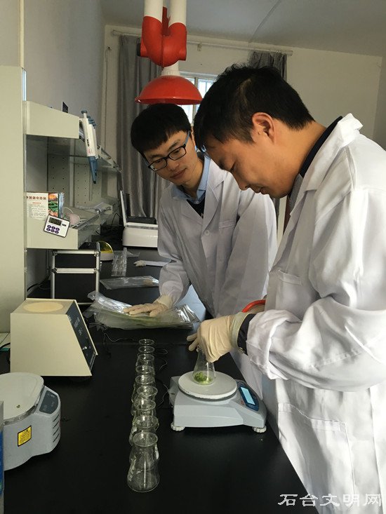 图为七都所工作人员正在对蔬菜样本进行快速检测