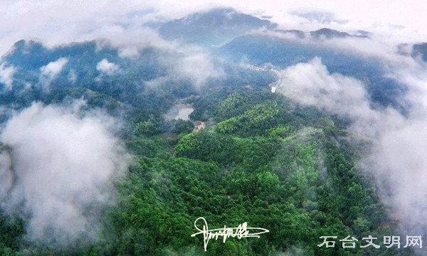 大山有颗纯洁静心