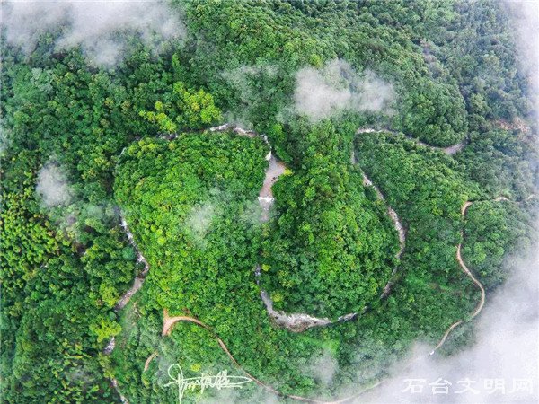 大自然的符号