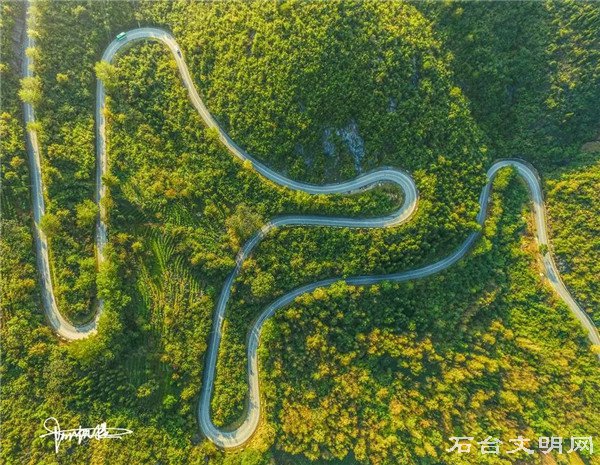 山路弯弯