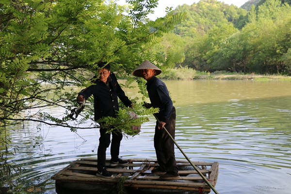 清理悬挂物