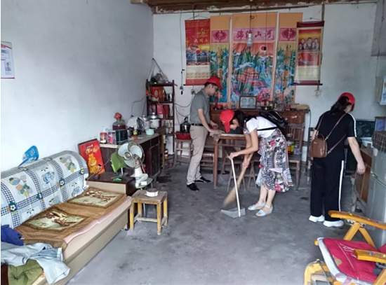 图为丁香镇组织志愿者开展“五净一规范”志愿服务活动