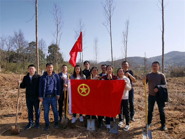 义务植树.jpg