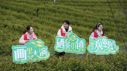 石台县团代表联络站组织青年志愿者助力安徽·石台茶叶节开幕式顺利举办