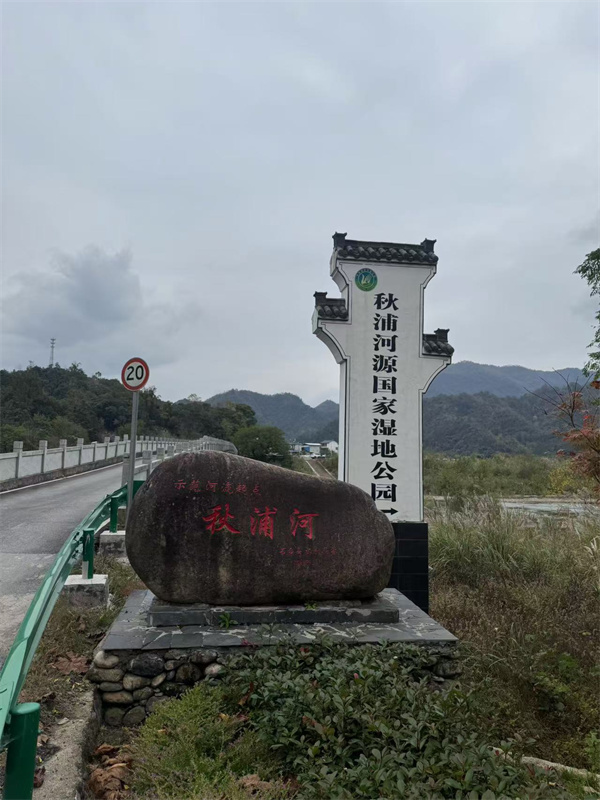 51b3596e4deda0ca8b472c64b696f31_.jpg