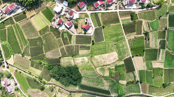 DJI_20250710151226_0043_D(1)_.jpg