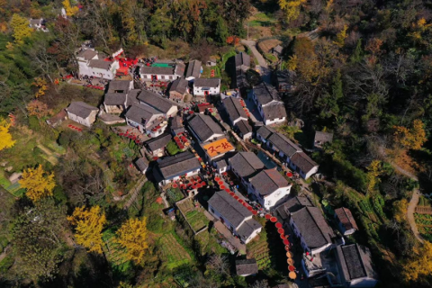 2025ʯ̨Ӱչ߻ɹϵлĻ