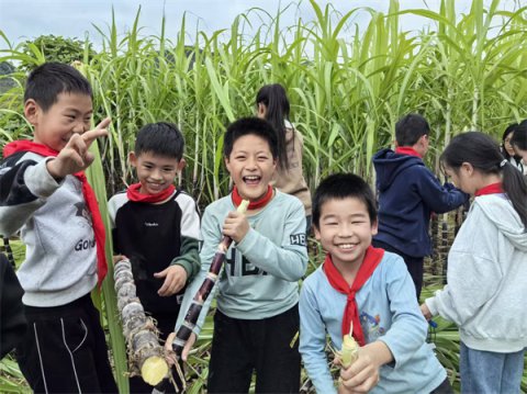 ���ս���ȥ�Ͷ�����ũѧ԰��ġ����ۿ��á�