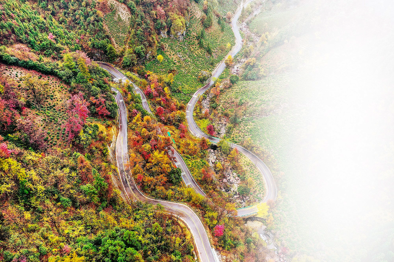 1764116637190200.png 355ac2212ed158a9382099a0d815163d_img_9_224_699_467.png