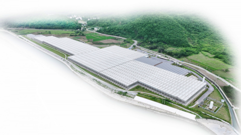 ���������˲�ҵ ���������¾��� ��ʯ̨�ء�ʮ���塱�ڼ�ũҵũ���ִ�����չ����