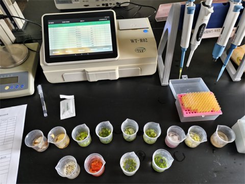 ��̲�磺 ũ������ů���� ���ذ�ȫӭ�ѽ�