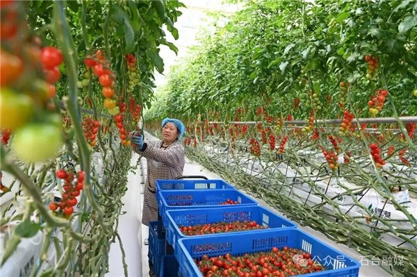 1772522215648015.jpg 10.jpg