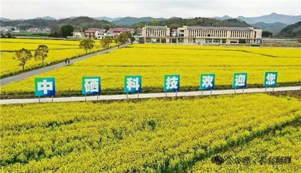 1772522231844326.jpg 8.jpg