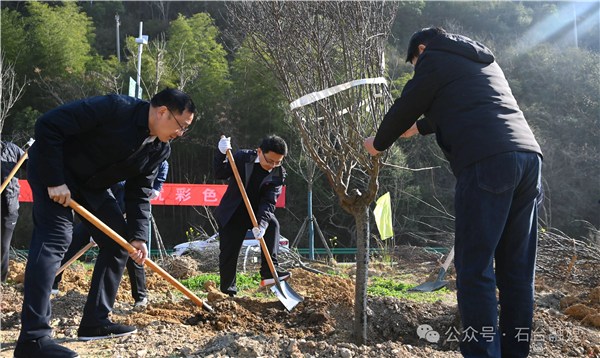 1774512453502740.jpg 2.jpg