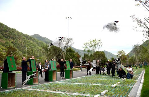 ʯ̨���С������ܡ�����Ź�