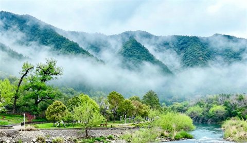 ����»�����ɽ�ѡ����������»�壬��ţ���µ����������������ƪ